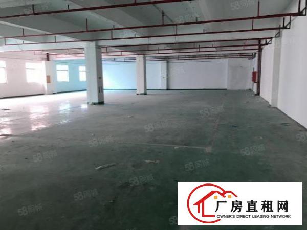  南岭南和工业区500平1200平1850平厂房仓库出租
