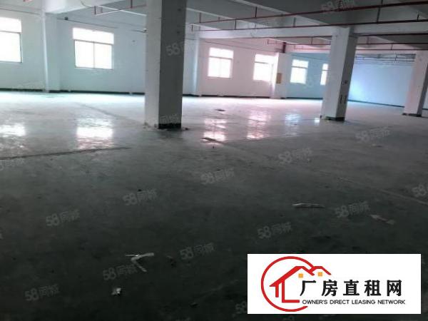  南岭南和工业区500平1200平1850平厂房仓库出租