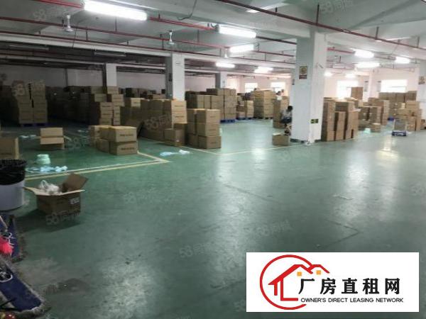  南岭南和工业区500平1200平1850平厂房仓库出租