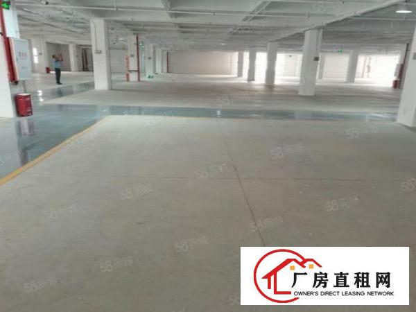  平湖地铁10号线400平厂房出租商铺展厅仓库多用配套成熟！！