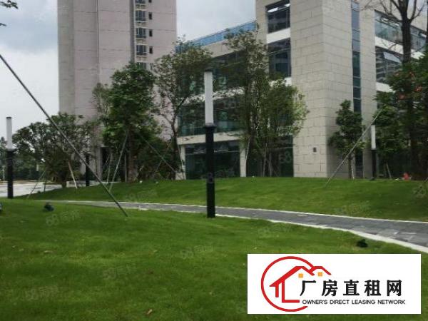  布吉李朗原房东实际面积直租小独栋2100平带红本玻璃幕墙研发