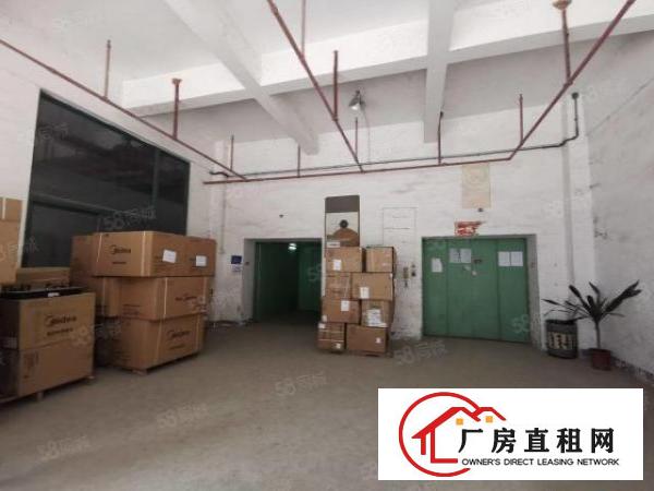  出租！布吉标准物流仓库新空出2楼3300，电梯5吨带卸货平台