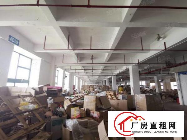 出租！布吉标准物流仓库新空出2楼3300，电梯5吨带卸货平台