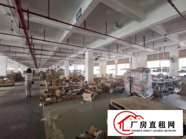  出租！布吉标准物流仓库新空出2楼3300，电梯5吨带卸货平台