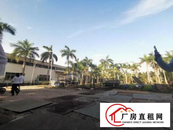  出租！布吉标准物流仓库新空出2楼3300，电梯5吨带卸货平台