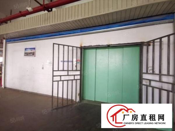  出租！布吉标准物流仓库新空出2楼3300，电梯5吨带卸货平台