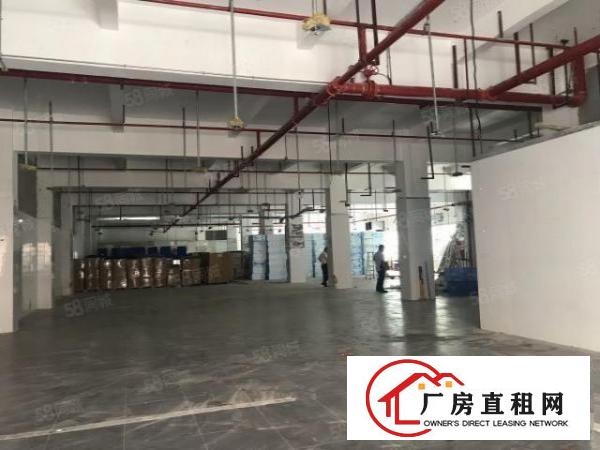  布吉南岭工业区7600平厂房出租500仓库分租，有装修
