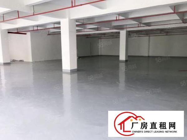  六约丹竹头地铁站附近新出360平电商仓库，停车位充足