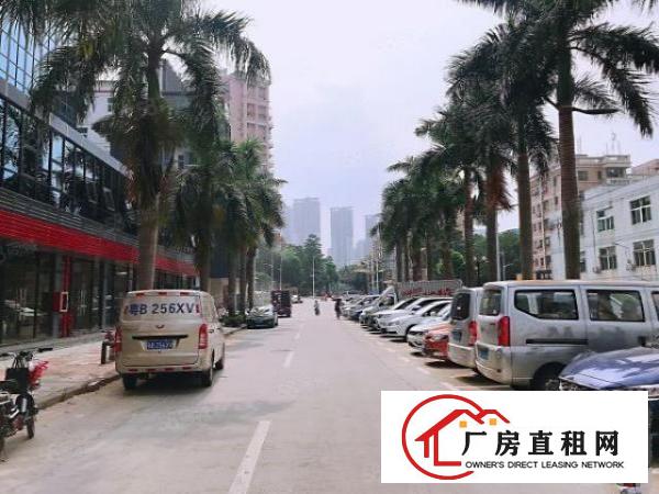  六约丹竹头地铁站附近新出360平电商仓库，停车位充足