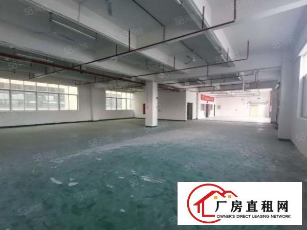  龙岗布吉南岭工业区楼上600平米带办公室装修可办环评可分租