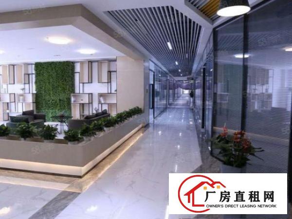  布吉新装写字楼全新招商大小随意组合红本物业采光好
