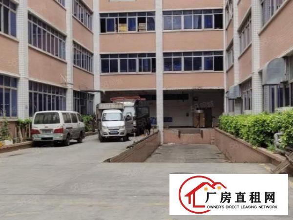  丹竹头高新技术开发区200至2600平方招租可分，有货梯