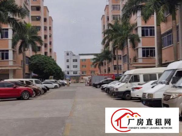  丹竹头高新技术开发区200至2600平方招租可分，有货梯