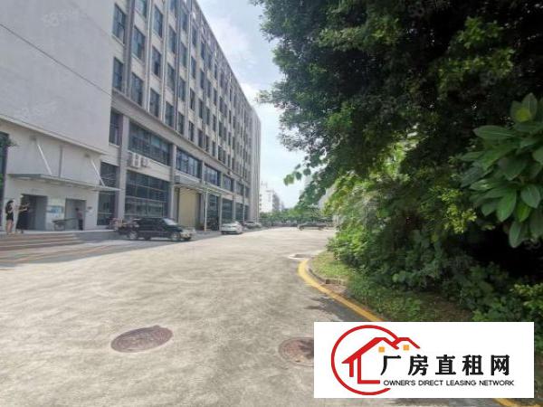  深圳布吉360平米办公研发电商厂房出租