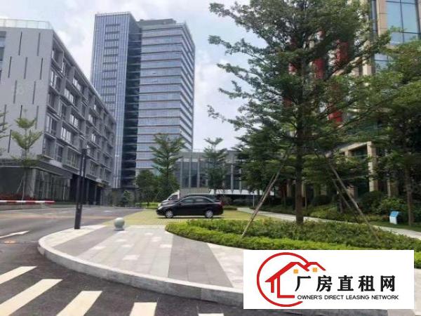  布吉10号线地铁口附近新出100到1000平精装修写字楼出租