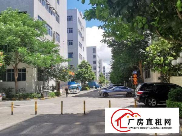  布吉上李朗地铁站原房东红本花园式700平方厂房出租可分租