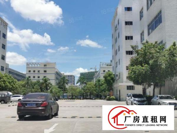  布吉上李朗地铁站原房东红本花园式700平方厂房出租可分租