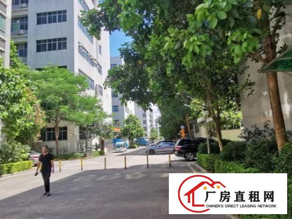  布吉上李朗地铁站原房东红本花园式700平方厂房出租可分租