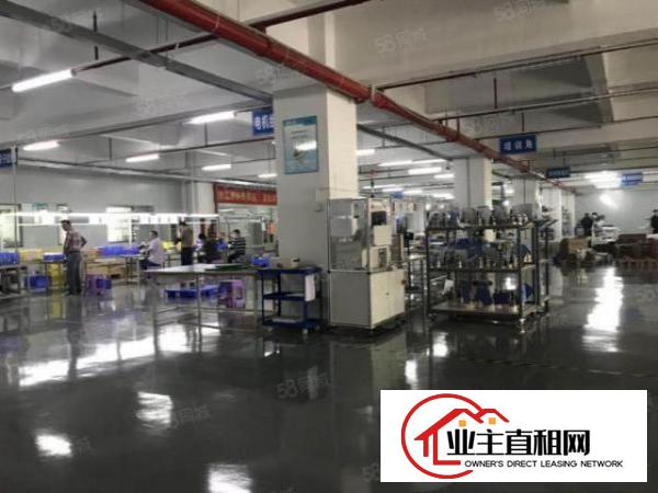  布吉秀峰工业园厂房出租200平起分租2000平整层原房东红本