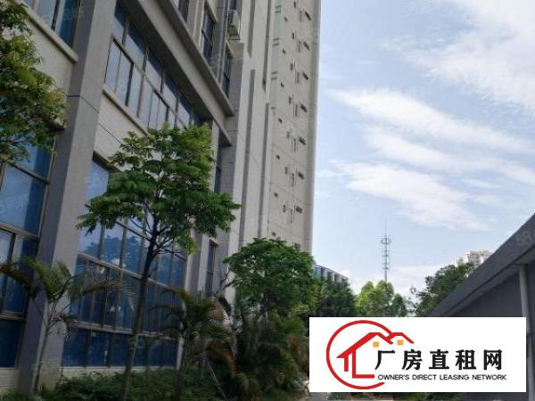  布吉丹竹头创意园区580平精装修办公室提包入住出租