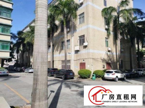  布吉地铁站原房东厂房单层面积1000平大小可分租