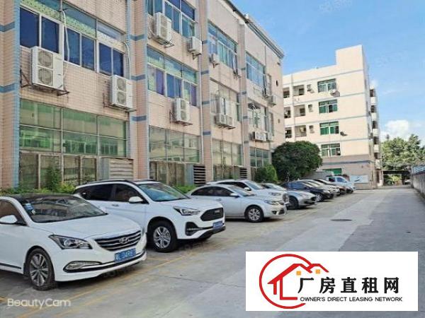  布吉丹竹头工业园1000平厂房分租水电齐全交通便利