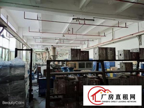  布吉丹竹头工业园1000平厂房分租水电齐全交通便利