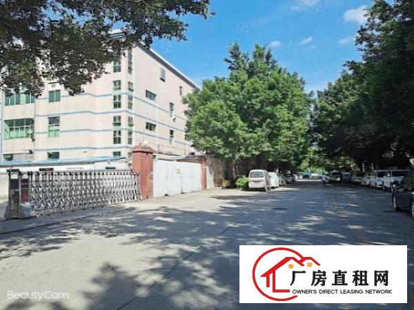  布吉丹竹头工业园1000平厂房分租水电齐全交通便利