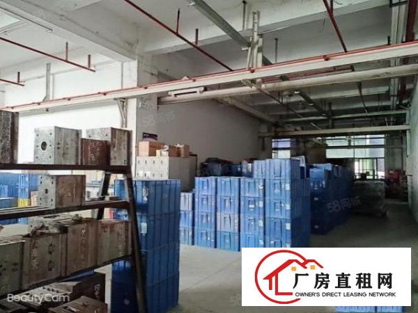  布吉丹竹头工业园1000平厂房分租水电齐全交通便利