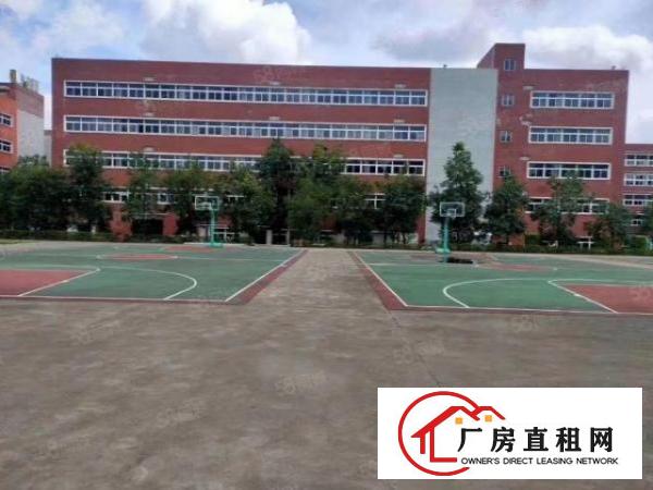  布吉早禾坑8000平方厂房出租