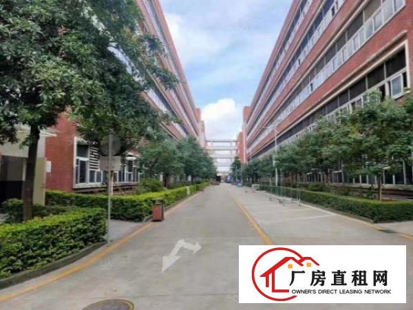  布吉早禾坑8000平方厂房出租