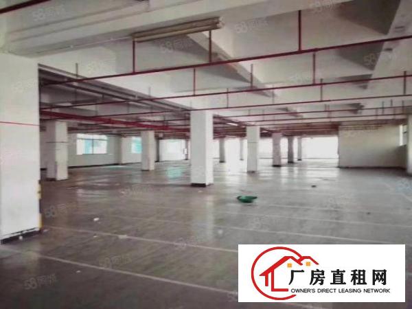  布吉早禾坑8000平方厂房出租