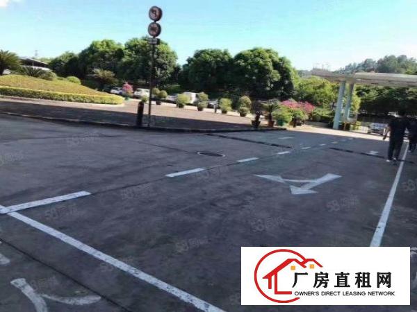  布吉早禾坑8000平方厂房出租