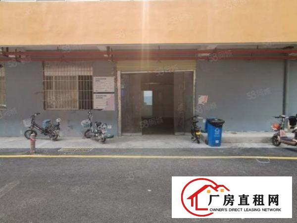  布吉大芬村一楼240平厂房9成使用率，招冻库，仓库配送