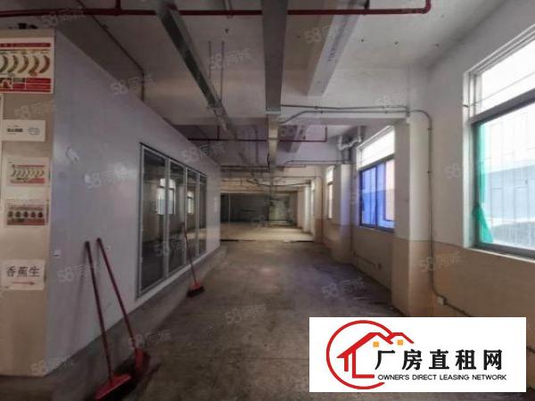  布吉大芬村一楼240平厂房9成使用率，招冻库，仓库配送