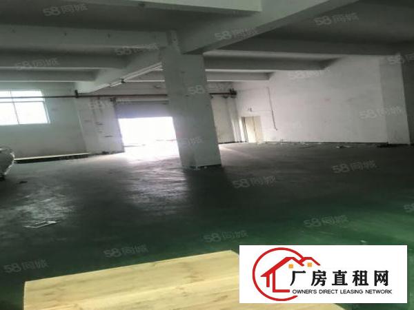 布吉厂房一楼260平方450平方750平方1000平方招租
