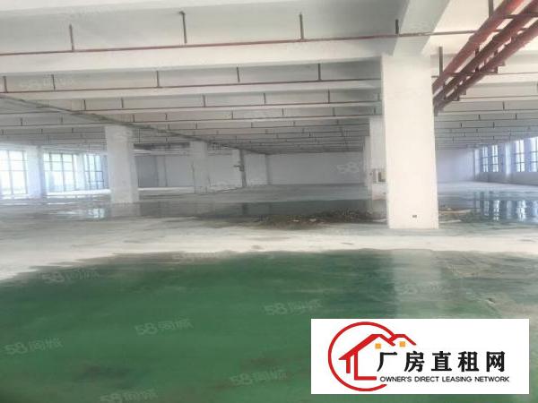  布吉厂房一楼260平方450平方750平方1000平方招租
