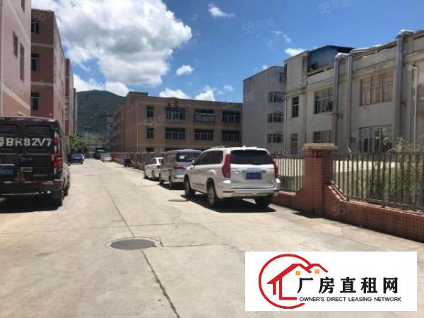  南岭社区8360平方厂房出租，主干道，消防主体验收合格，