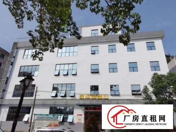  NL布吉业主红本写字楼招租多种大小办公室可注册