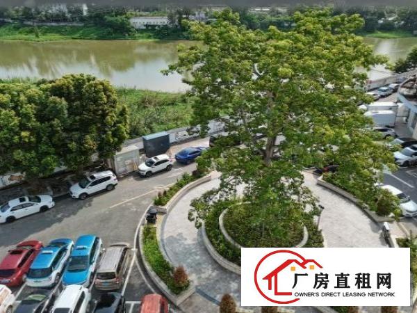  NL布吉业主红本写字楼招租多种大小办公室可注册