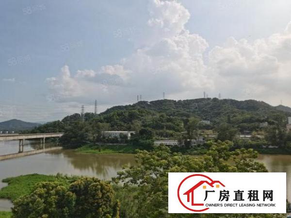  NL布吉业主红本写字楼招租多种大小办公室可注册