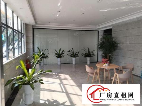  NL布吉业主红本写字楼招租多种大小办公室可注册