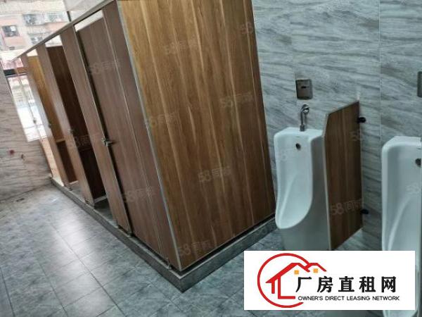  NL布吉业主红本写字楼招租多种大小办公室可注册