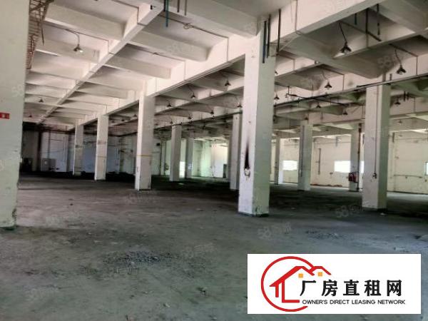  布吉李朗工业区一楼层高7米红本带消防喷淋实际面积出租