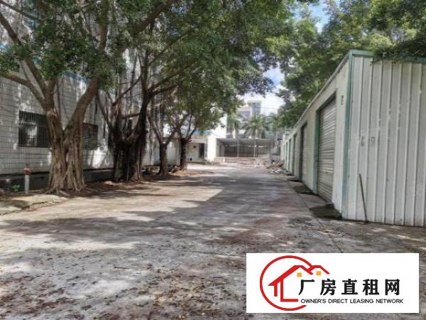  布吉下水径1000平厂房出租带红本1000平分租