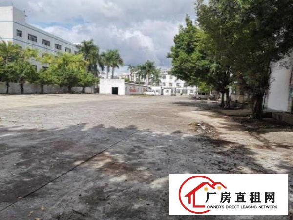  布吉下水径1000平厂房出租带红本1000平分租