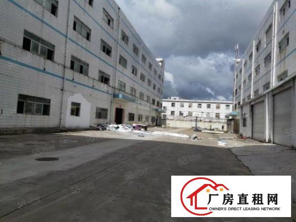  布吉下水径1000平厂房出租带红本1000平分租