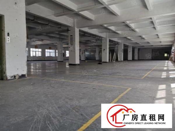  布吉下水径1000平厂房出租带红本1000平分租