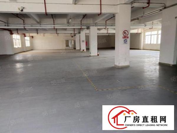  布吉丹竹头新出一楼二楼2000平标准厂房出租大小可分租