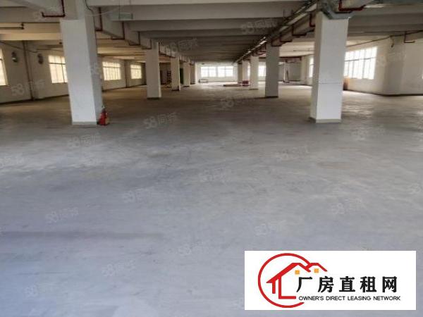  布吉丹竹头新出一楼二楼2000平标准厂房出租大小可分租